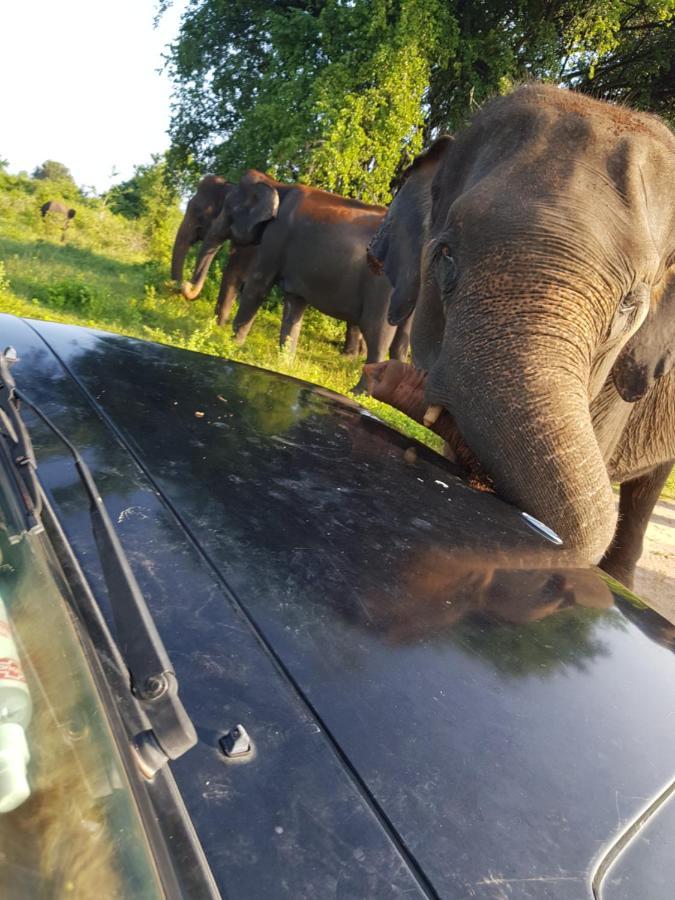 Elephants Fence Guest & Safari Services Udawalawe Exterior photo