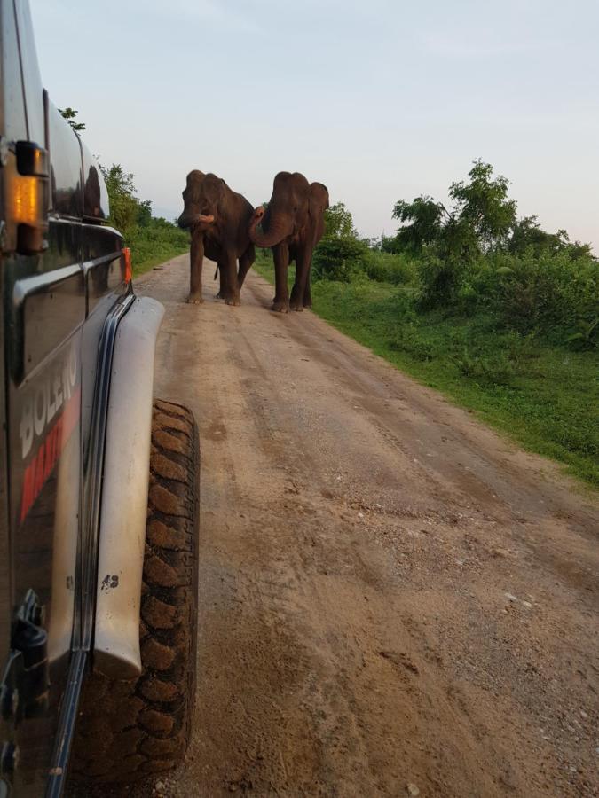 Elephants Fence Guest & Safari Services Udawalawe Exterior photo